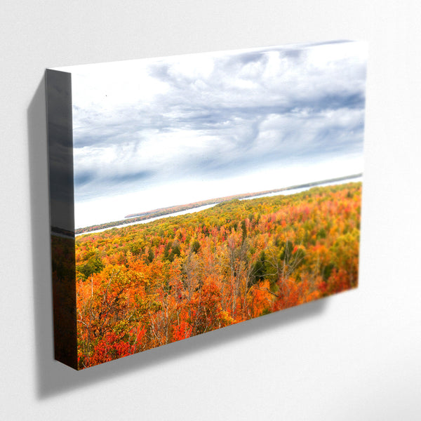 Wrapped Canvas