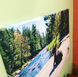 Wrapped Canvas
