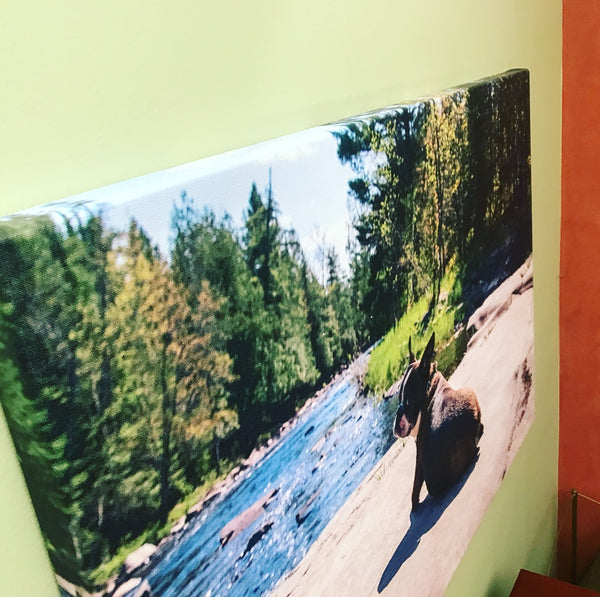 Wrapped Canvas