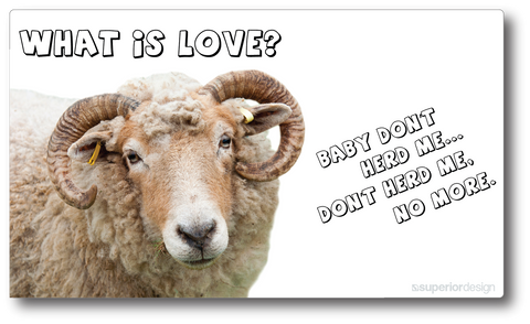 What is Love Sheep Herder Sticker
