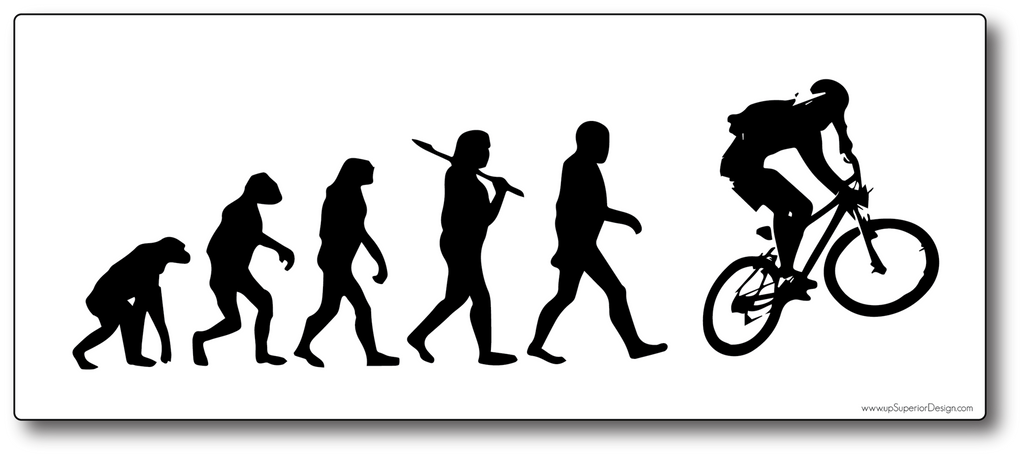 Bike hotsell evolution sticker