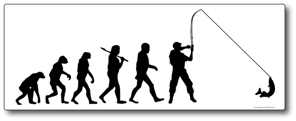 Evolution Fishing Sticker